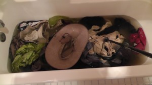 Bathtub Stew
