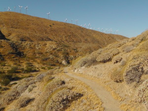 Trail Up