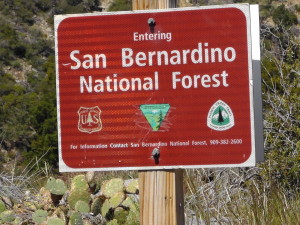 San Bernardino