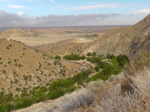 Deep Canyon Mouth