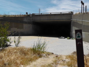 Under Highway 15