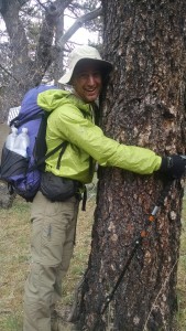 Tree Hugger