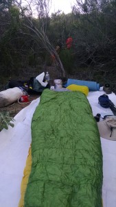 Camp in bushes