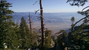 View from San Jacinto