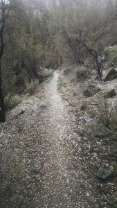 Trail Hail