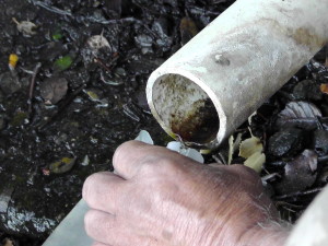 Water Pipe Drip