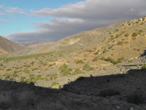 Looking Back at Tehachapi