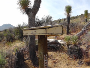PCT Log / Journal