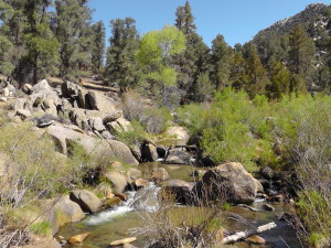 Sierra Water