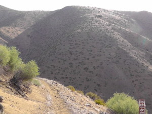 Barren