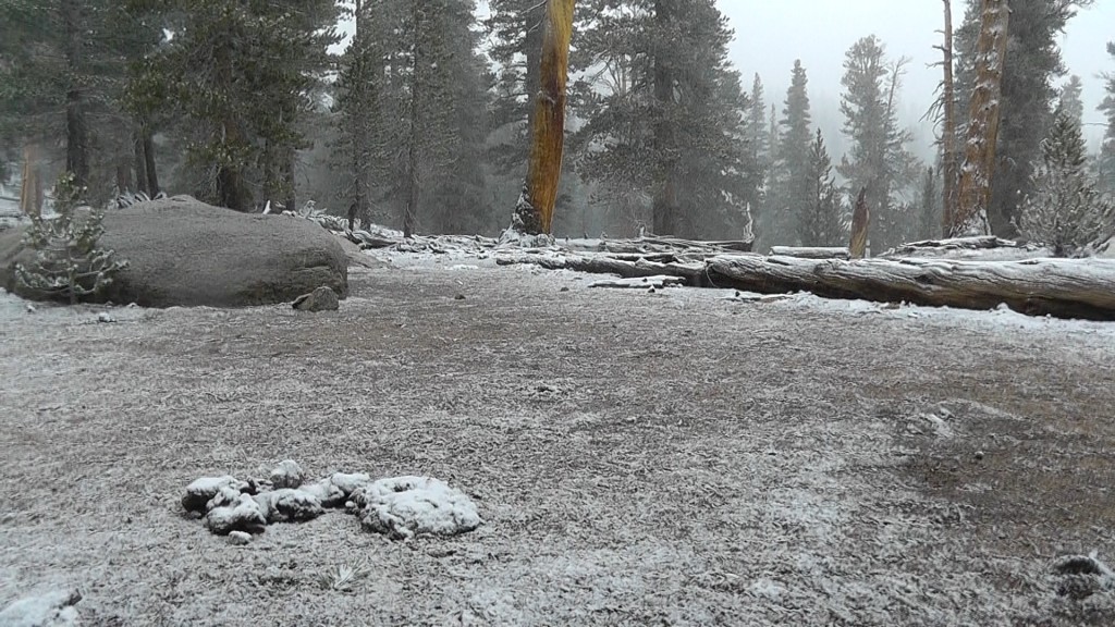 Snow sticking