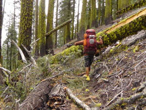 Hiking Obstacles