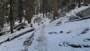 Snow Trail