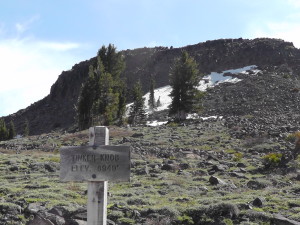 Tinker Knob