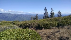 may24backtobelden