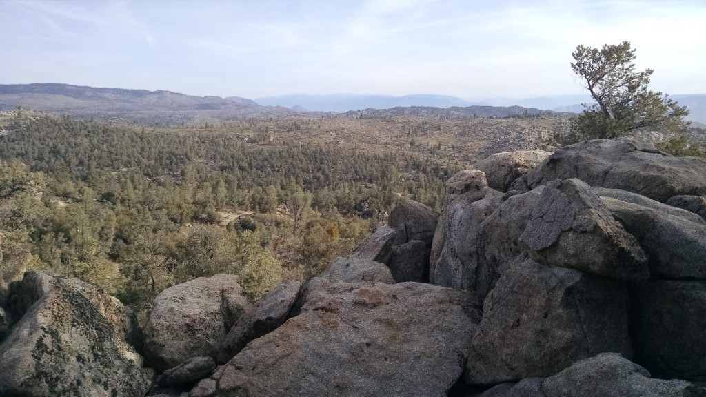 View