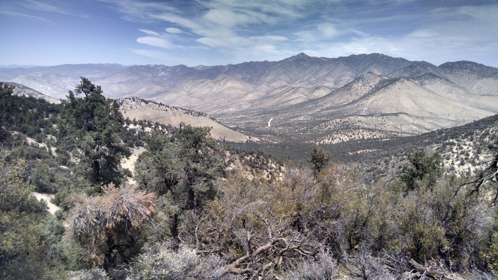 Typical View