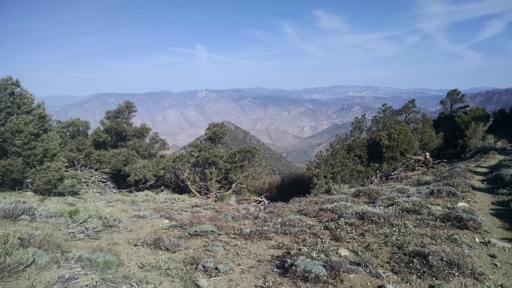 Typical View