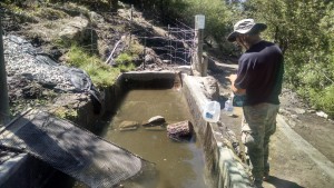 Buggy Water Trough