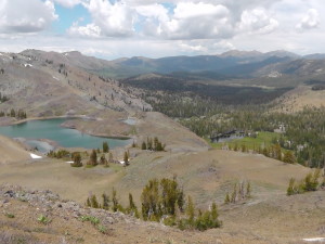 Vista