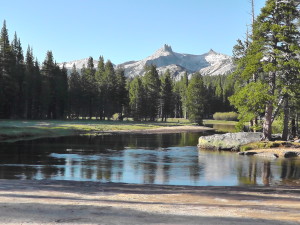 Into Tuolumne Meadows