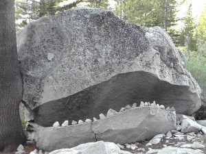 Rock Face