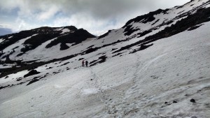 Sonora Pass