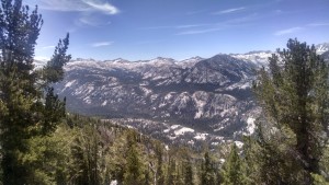 Back in the Wilderness