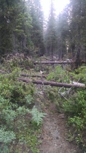 Blowdowns