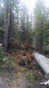 Obstacle Course