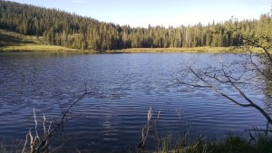 Richardson Lake