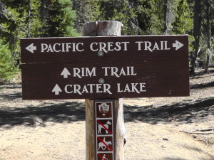 PCT vs Rim Trail
