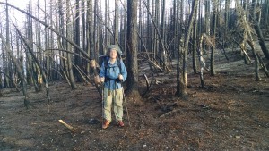 Fire Devestation