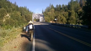 Roadwalk to Seiad Valley