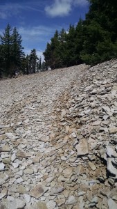 Rocky Trail