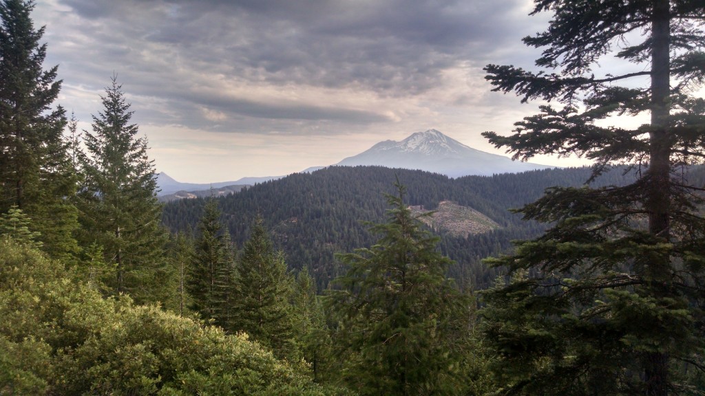 Mount Shasta Again?!