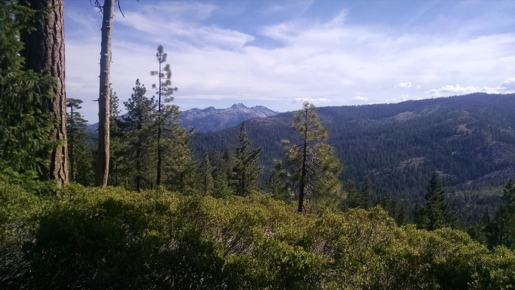 View coming to Highway 3