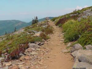 Ridge before Eagle Creek