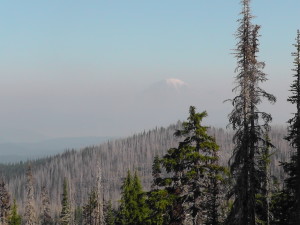 Mount Rainier Cap