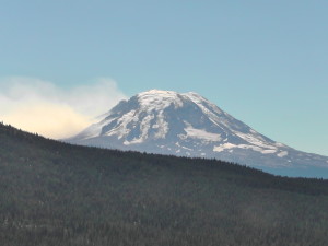 Cougar Fire on Mt Adams
