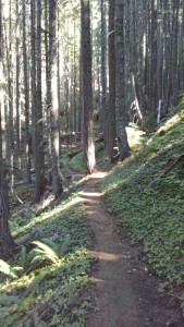 More Green Tunnel