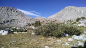 Lake Frances below Snow Tongue Pass
