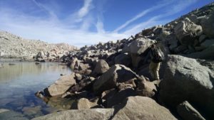 Boulder Field Below Snow Tongue Pass