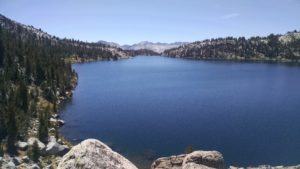 Virginia Lake