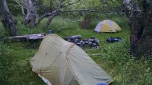 Miller Flat Camp