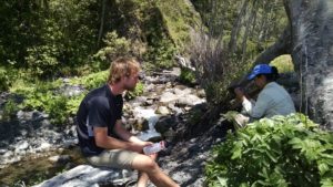 Filtering Water