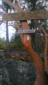 SCT Trailhead