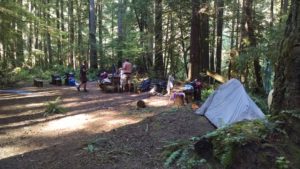 Plummer Creek Campground