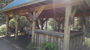 Rieveley Pond Shelter